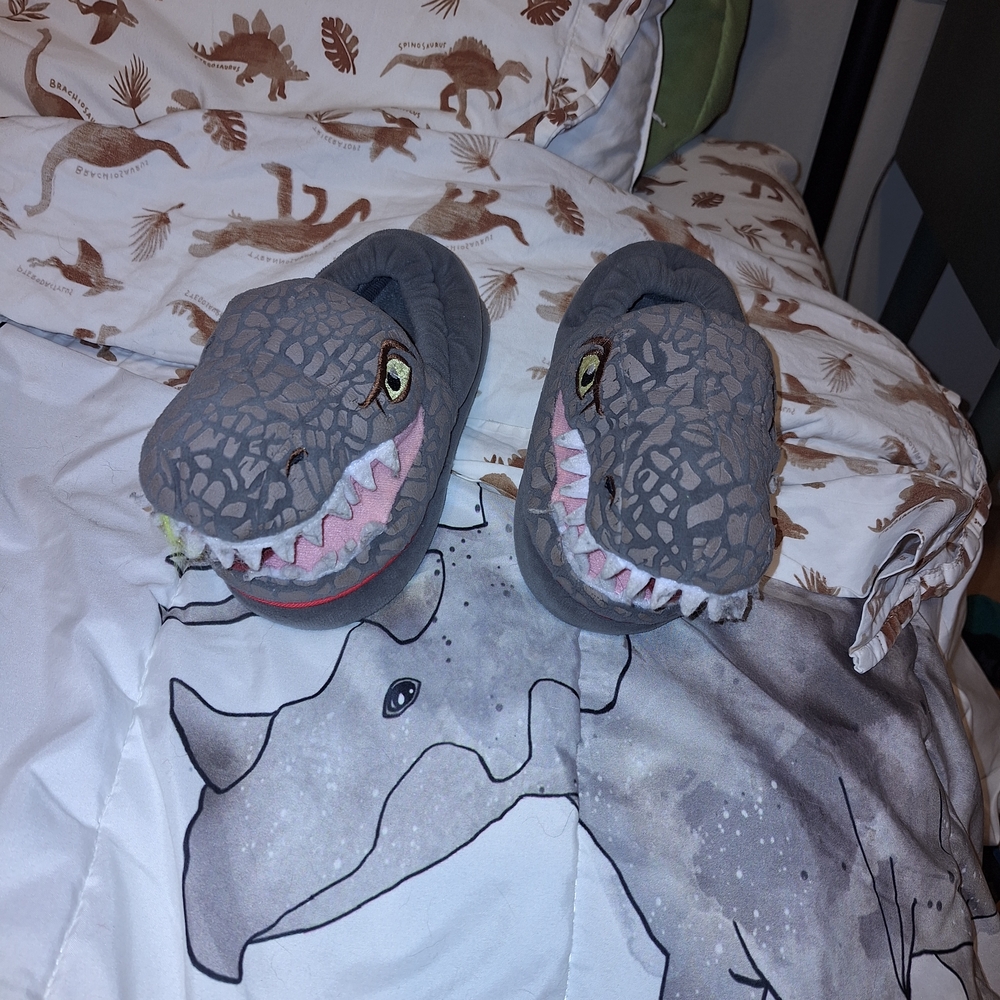Kids Jurassic Slippers
